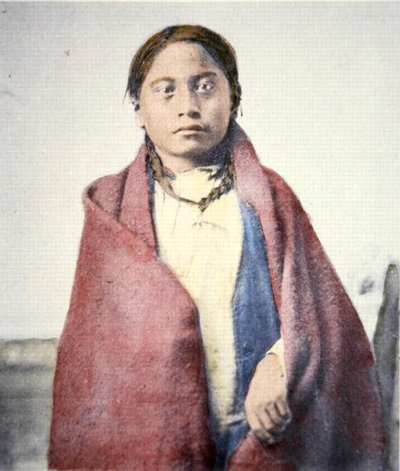 Varjútalp (d.1890) (színes fotó) alkotó: David Frances Barry