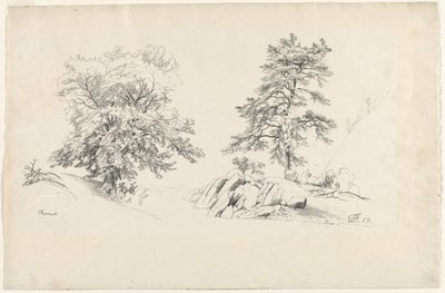 Gesztenye és fenyő, 1869. alkotó: David Johnson