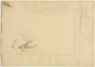 Táj- és fatanulmányok verso, c. 1851. alkotó: David Johnson