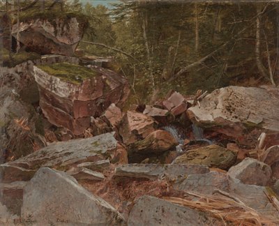 Study, North Conway, New Hampshire, 1851 alkotó: David Johnson