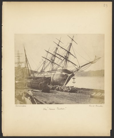 A "Jane Tudor" alkotó: David Johnson