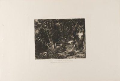 Egy Dell, Helmingham Park, Suffolk alkotó: David Lucas