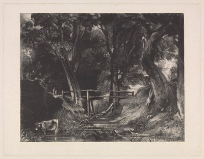 Egy Dell, Helmingham Park, Suffolk alkotó: David Lucas