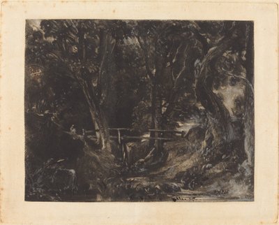 Egy Dell a Helmingham Parkban, Suffolkban alkotó: David Lucas after John Constable