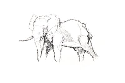 Bull Elephant, 2021 (kréta papíron) alkotó: David Mayer