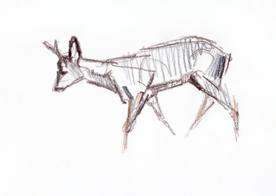 RoeBuck, 2021 alkotó: David Mayer
