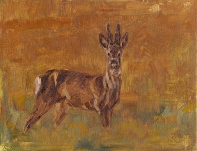 Roe Buck, 2021 alkotó: David Mayer