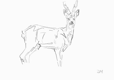 Roe Buck, 2024 (tinta bambusz nádtollal, papír) alkotó: David Mayer