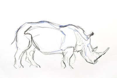 Fehér Rhino, 2021 (papírkréta és akvarell) alkotó: David Mayer