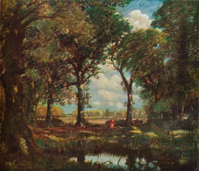 Egy erdei medence, 1905 alkotó: David Muirhead