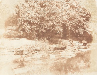 Burnside, Fife-sziget a Mandula folyóban, 1843-47. Alkotók: David Octavius Hill, Robert Adamson, Hill & Adamson. alkotó: Hill and Adamson