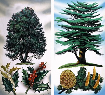 Fák, amelyeket láthatsz: Cédrus alkotó: David Pratt