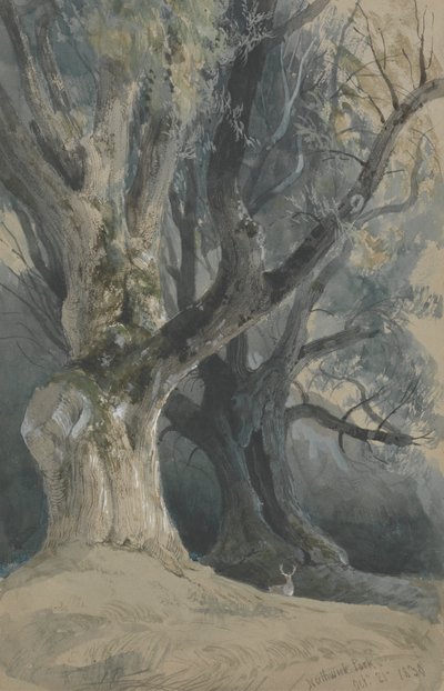 Fák a Northwick Parkban alkotó: David Roberts