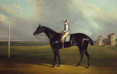 Mr R.O. Gascoigne "Jerry"-je B. Smith-szel a Doncaster Racecourse-on alkotó: David of York Dalby