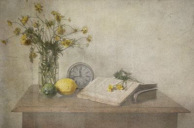  alkotó: Deborah Gugeri