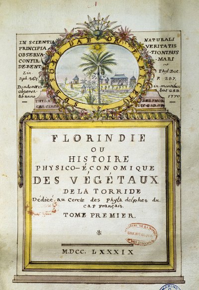 Florindie homlokzata vagy a Torride növényeinek fizikai-gazdasági története alkotó: Delahaye Delahaye