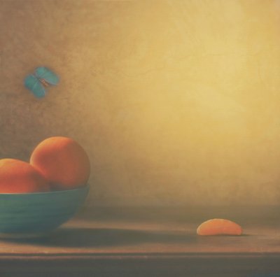 Citrusos tál és pillangó alkotó: Delphine Devos