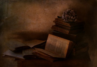 „Dark Academia” témájú könyvek alkotó: Delphine Devos