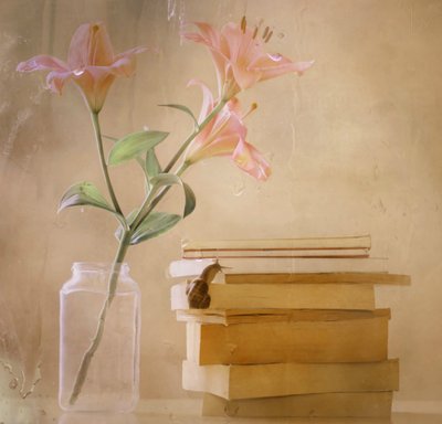 Álomszerű liliomok – Snail Books alkotó: Delphine Devos