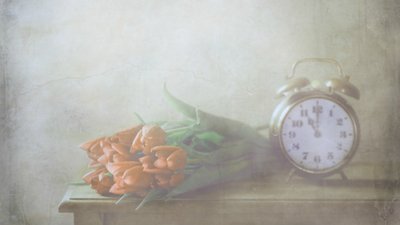 Álomszerű tulipánok és az idő alkotó: Delphine Devos
