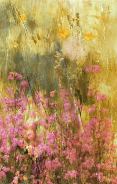 A Golden Meadow-i pillangók alkotó: Delphine Devos