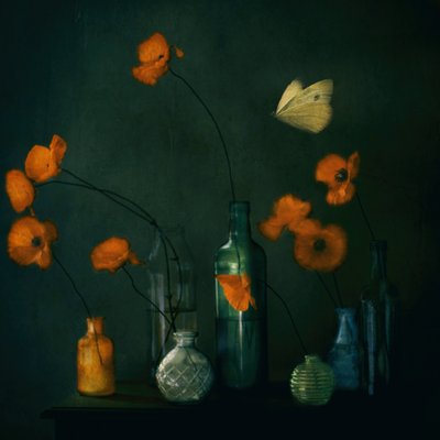 Moody Poppies Pillangó alkotó: Delphine Devos