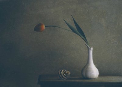 Hangulatos tulipáncsendélet alkotó: Delphine Devos