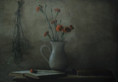 Csendes szegfűs csendélet alkotó: Delphine Devos