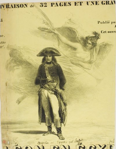 Napóleon Egyiptomban alkotó: Denis Auguste Marie Raffet