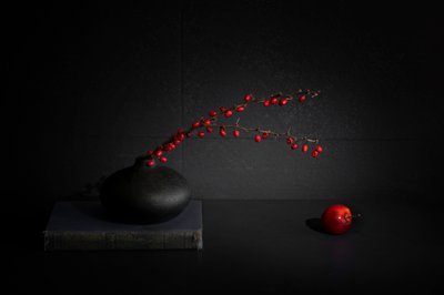 Vörös bogyók fekete vázában – csendélet alkotó: Dennis Zhang
