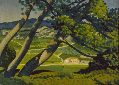 Fák, Provence, 1912 alkotó: Derwent Lees