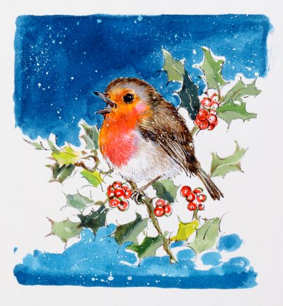 Robin Red-mell, 1996 (wc) alkotó: Diane Matthes