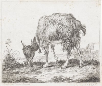 Legelő kecske haranggal alkotó: Diederik Jan Singendonck