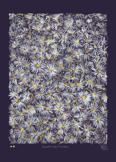  alkotó: Diego Beyro