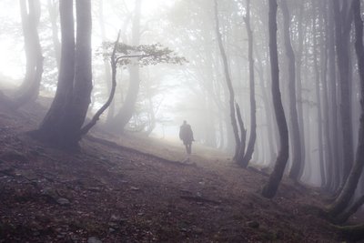  alkotó: Diego Beyro