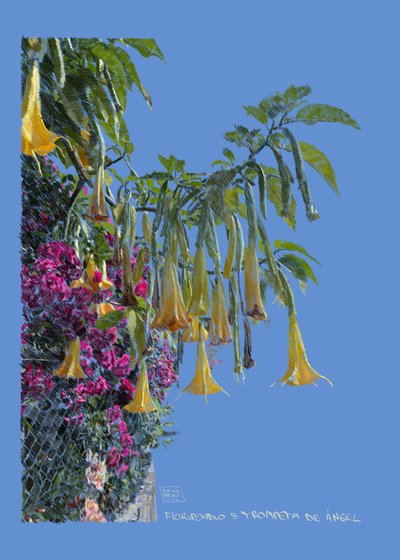  alkotó: Diego Beyro