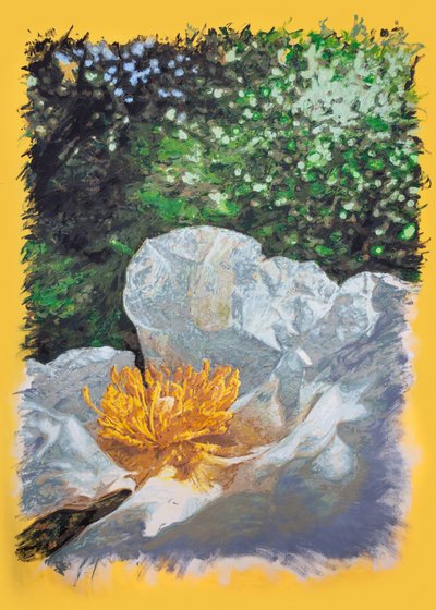  alkotó: Diego Beyro