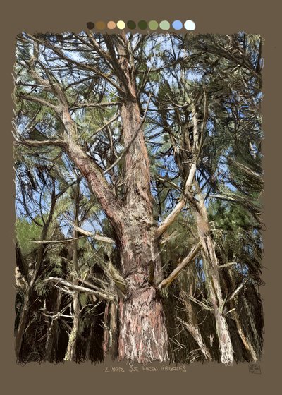  alkotó: Diego Beyro