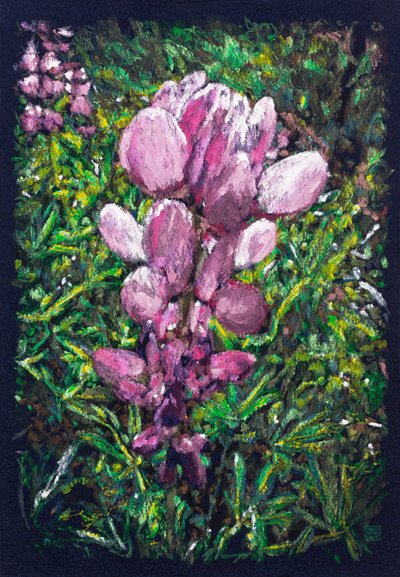  alkotó: Diego Beyro