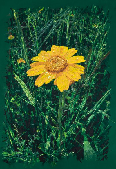  alkotó: Diego Beyro