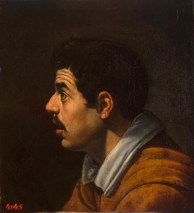 Profilos férfi feje, c. 1616-1617 alkotó: Diego Velázquez