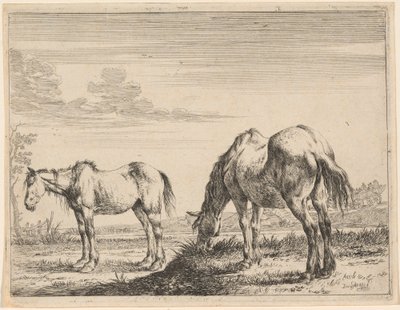 Két legelésző ló alkotó: Dirck Stoop