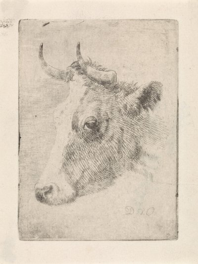 Egy bika feje alkotó: Dirk van Oosterhoudt