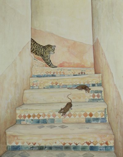 Ben Youssefs lépcsőház alkotó: Ditz