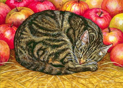Bal oldali Apple-Cat, 1995 (akril a panelen) alkotó: Ditz