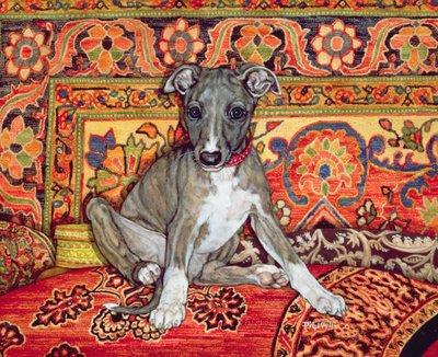 My Whippet Baby, 1994 alkotó: Ditz