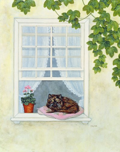 Pams Cat alkotó: Ditz