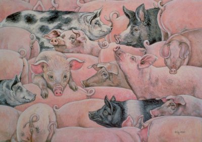 Pig-Spread alkotó: Ditz