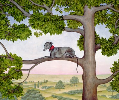 A fa whippet alkotó: Ditz