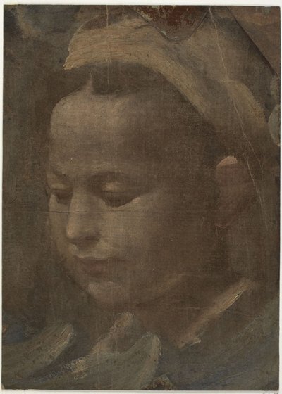 Egy fiatal nő feje alkotó: Domenico Beccafumi